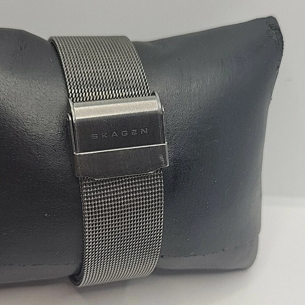 Skagen SKW2120 Women's Stainless Steel Mesh Analog Dial Quartz Wrist Watch AM613